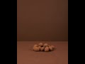 Mandel Trueffel Schokolade mit Nüssen & Trockenobst 🍫