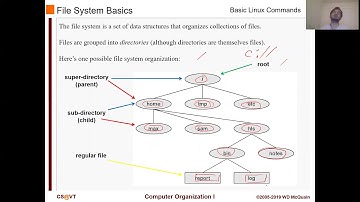 CS2505 - Week 1 - Linux: Basic Commands and Utilities