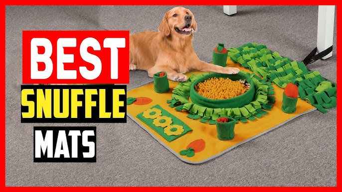 20 Best Dog Puzzles of 2023