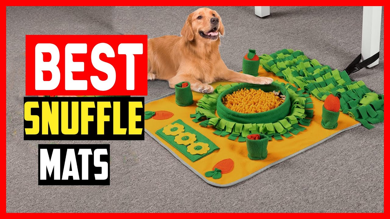 Snuffle Mat For Dogs: The 5 Best Options That Will Actually Keep Your Pet  Busy - DodoWell - The Dodo