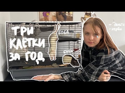 Крысы худшие домашние питомцы | Новая клетка ( надеюсь последняя )