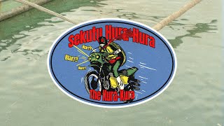 The Kura-Kura - Hura-Hura