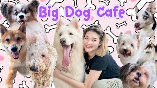Big Dog Cafe เที่ยวคาเฟ่น้องหมา , ขี่ม้าครั้งแรก 🐕🐴
