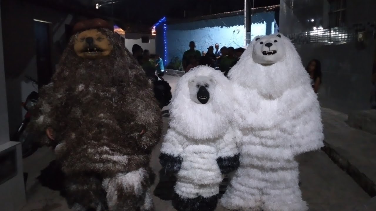 URSO DA MATA, SAINDO NA RUA, 04-11-23  