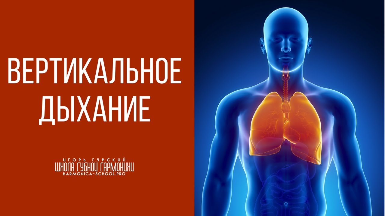Вертикальное дыхание. Как дышать во время игры на губной гармошке