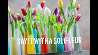 Solifleur Vases Dutz Collection