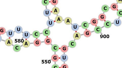 Secondary structure prediction using mFOLD and Forna | mRNA structure forecast tools |