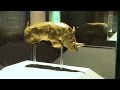 Culture war brews over safrican golden rhino figurine