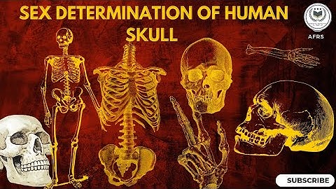 SEX DETERMINATION  BY HUMAN SKULL 💀|| FORENSIC ANTHROPOLOGY|| FORENSIC SCIENCE|| #forensicscience