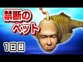 生意気すぎる人面魚【シーマン育成日記：１日目】