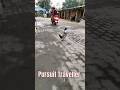 Jaane Kahan Mera Jigar Gaya ji🦆 #travel #youtube #explore