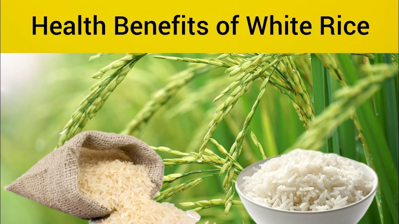 10 Proven Health Benefits of White Rice From Weight Loss to Lowering Cholesterol Inforpart