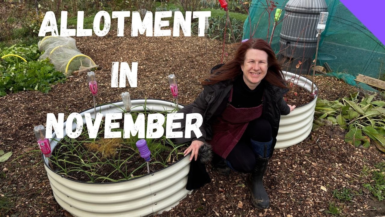 November Allotment Tour - Allotment Gardening For Beginners UK - YouTube
