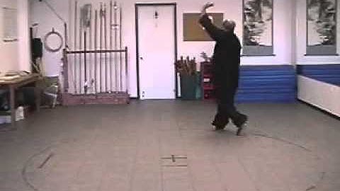Pa Kua - Palm Changes - Spinning Body Palm  - Walking