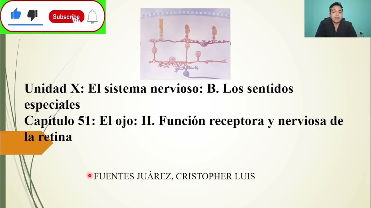 FISIOLOGÍA: EL OJO: II. FUNCIÓN RECEPTORA y NERVIOSA DE LA RETINA