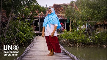 How social forestry is protecting Indonesia