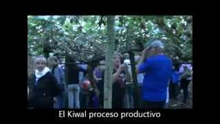 MACEDO 5° Fiesta Regional del Kiwi 2015
