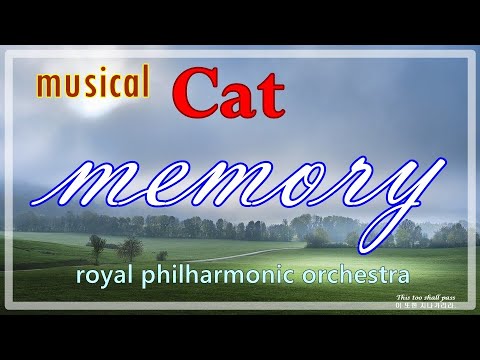 1h Repeat 뮤지컬 캣츠의 메모리 Musical Cat Memory Royal Philharmonic Orchestra 