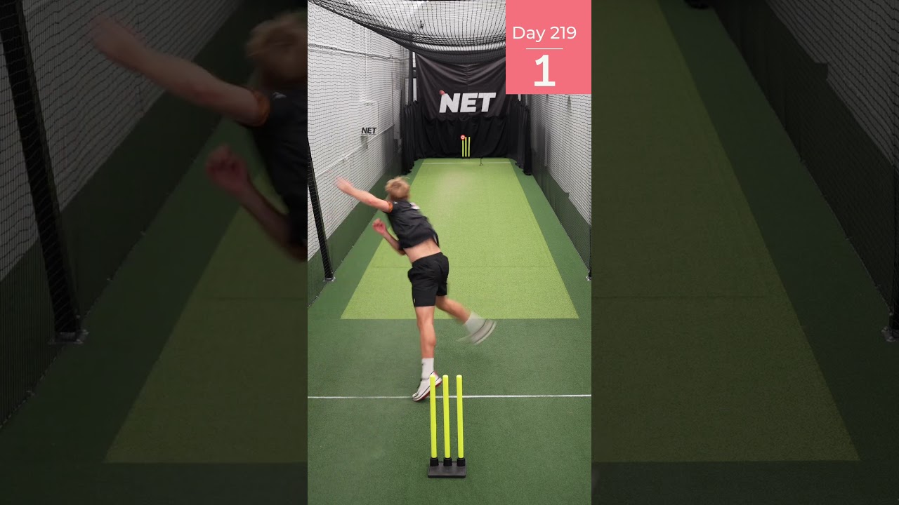 Perfect Over Challenge - Day 219 #cricketchallenge