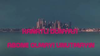 Bıldırcınlarda Cinsiyet Ayrımı 2