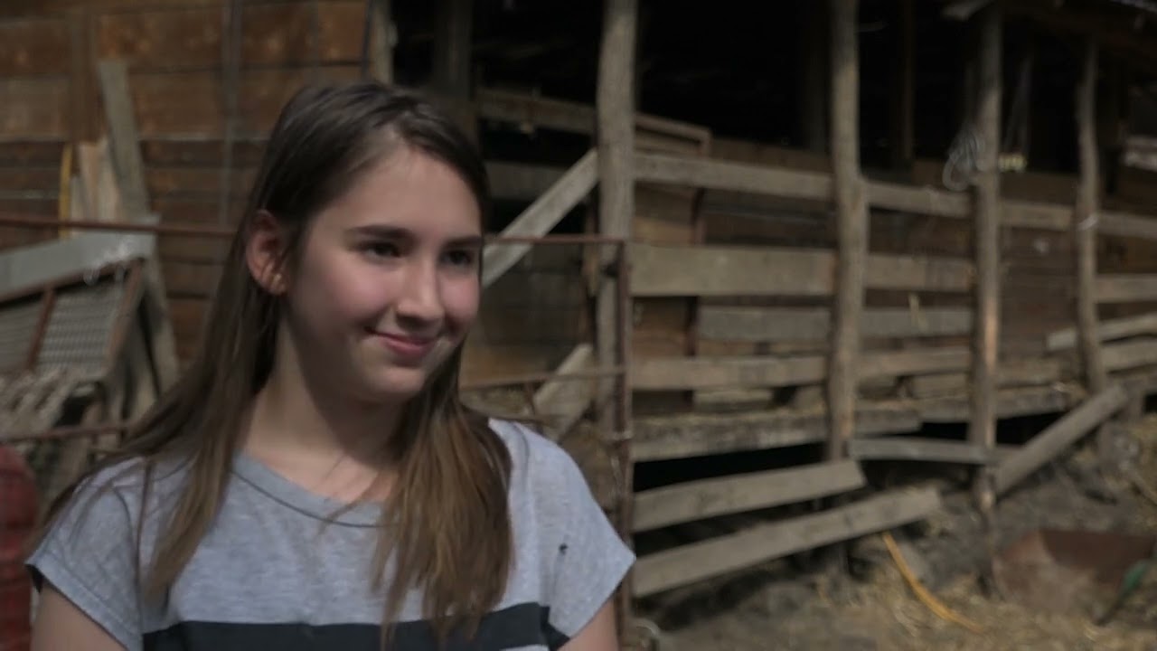GORNJI MILANOVAC 02.08.2024. Autohtone rase stoke na gazdinstvu Nebojše Mavraka iz Semedraža