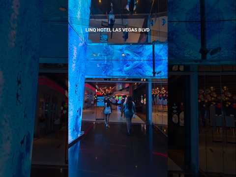 Explore Sunset Station Hotel and Casino in Las Vegas, Nevada with Silvia Sama-Lambiv, Author