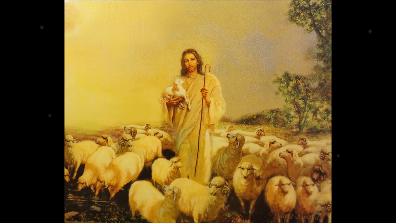 Sestry z rehole sv.Bazila Veľkého - Volá Ježiš ovce