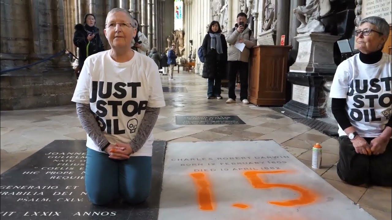Just Stop Oil activists spray paint Charles Darwin's grave in London