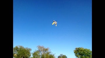 THRUST VECTORING VTOL DRONE - THE MOSQUITO - NANOPHAN 40MM THRUST VECTROING FPV AEROBOT - MONOPHAN