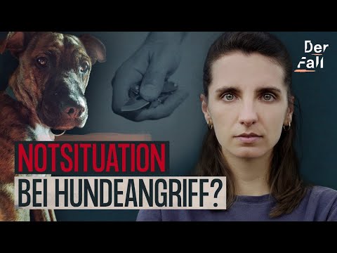 Video: Hund gefunden mit Schnürsenkel in den Hals eingebettet findet Hoffnung mit Houston Rescue