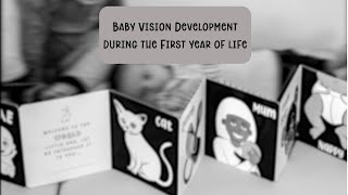 Baby Vision During The First Year Of Life