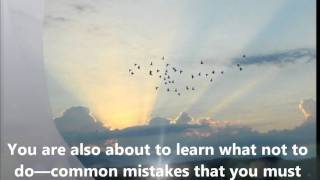 Racing Pigeons - Secrets The Top Fanciers Dont Want You To Know