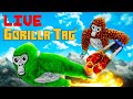 Playing with Viewers! - Gorilla Tag Live