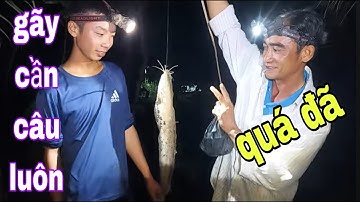 Cắm Câu Cá Lóc Bằng Mồi Nhái Và Trùng Hổ Thu Phục Cá Trê Khổng Lồ # SĂN BẮT ĐỒNG THÁP #