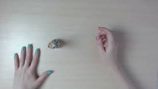 nails (2017)