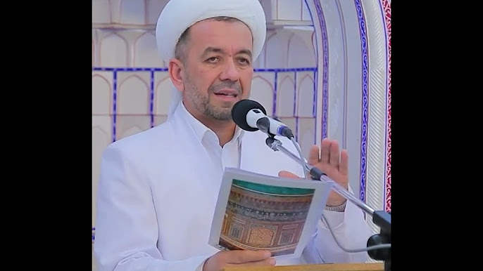 Майлы кискалар туралы видео