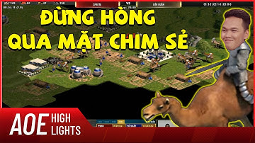Cách phá vây bất ngờ của Chim Sẻ khi bị đội bạn lừa vào ma trận | AOE Highlight