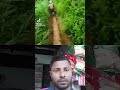 #chaicalling #racing #sports #shortvideo #foryou #vairalvideo #youtubeshorts