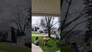 Dog Accidentally Knocks Over Woman While Saying Hello To Post