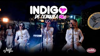 INDIGO DE CERQUITA VOL.1