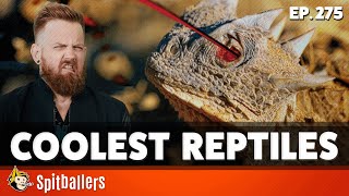 The Finest French Worms &amp; The Coolest Reptiles - Episode 275 - Spitballers Comedy Show