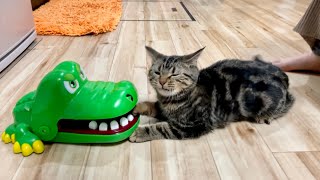 子猫がイタイワニーをプレイするとこうなりますw