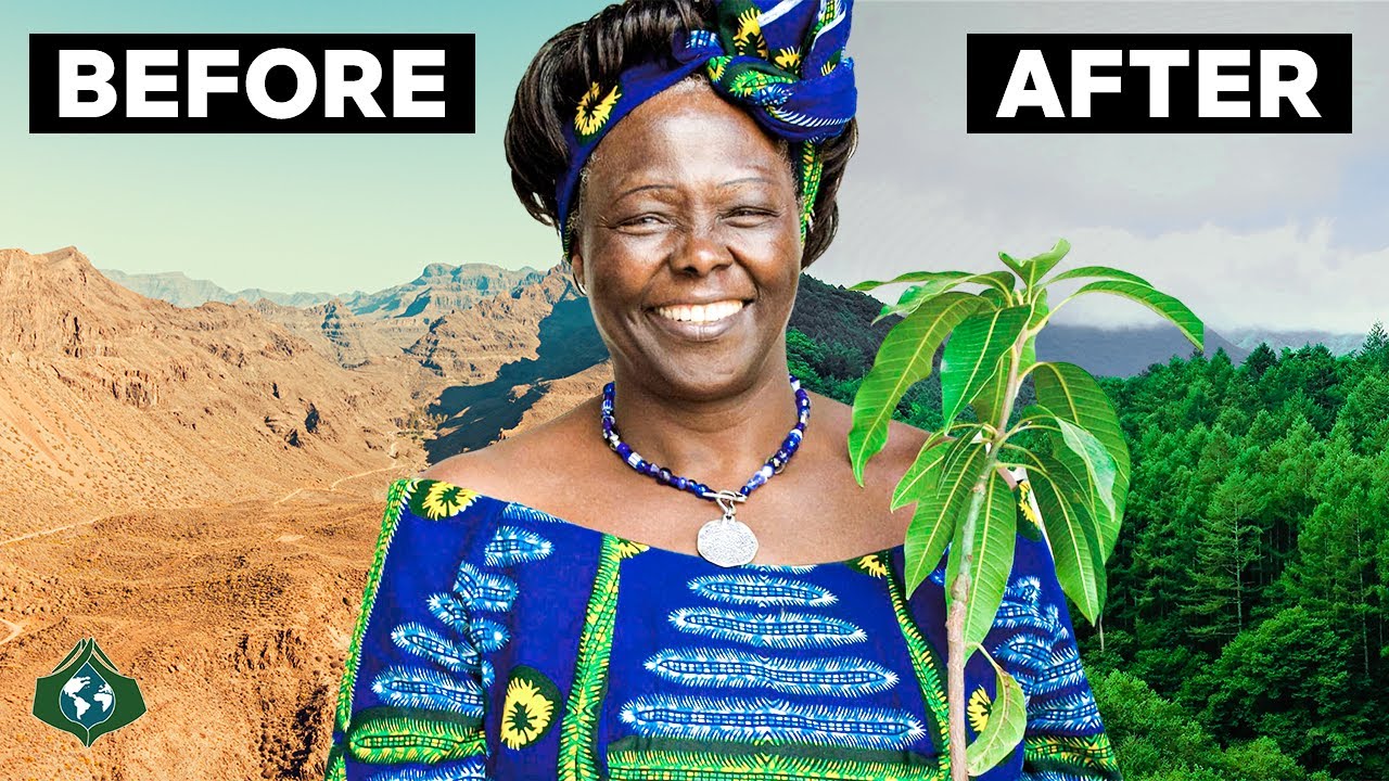 5 Reforestation Projects that Gives You Hope for the Future!