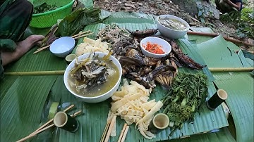 #555. Bắt cá suối nơi hoang dã, phiêu lưu trong rừng