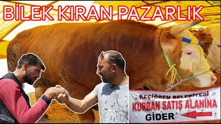 ANKARA KEÇİÖREN KURBAN PAZARI FİYATLARI !!!!