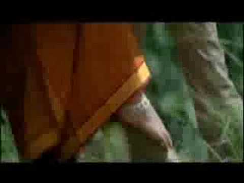 sakkapodu(dass)