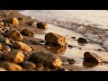 Gentle Calm Music for Meditation & Mindfulness
