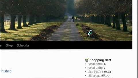 WordPress Shopping Cart with 2CheckOut