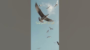 تلاوة سورة الشرح Surah Ash-sharh