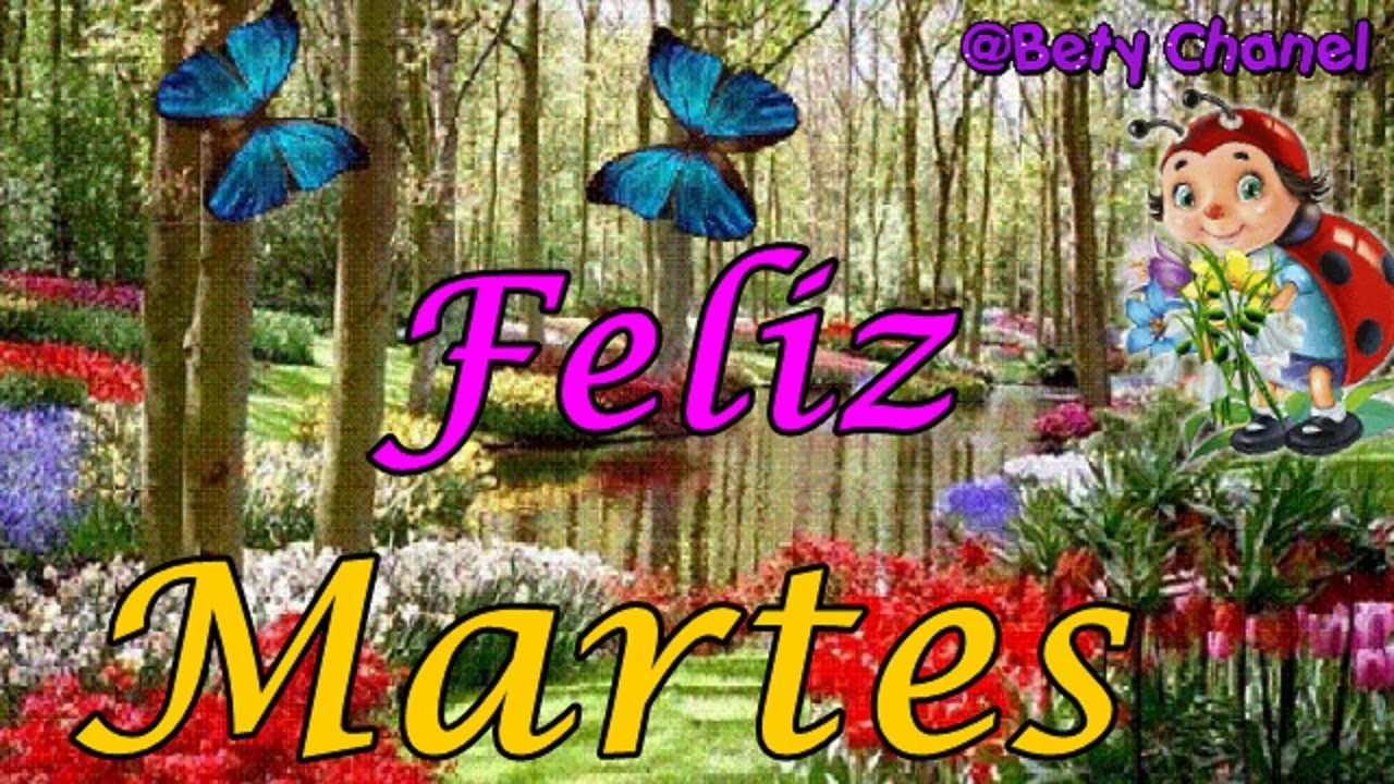 Feliz Martes - YouTube